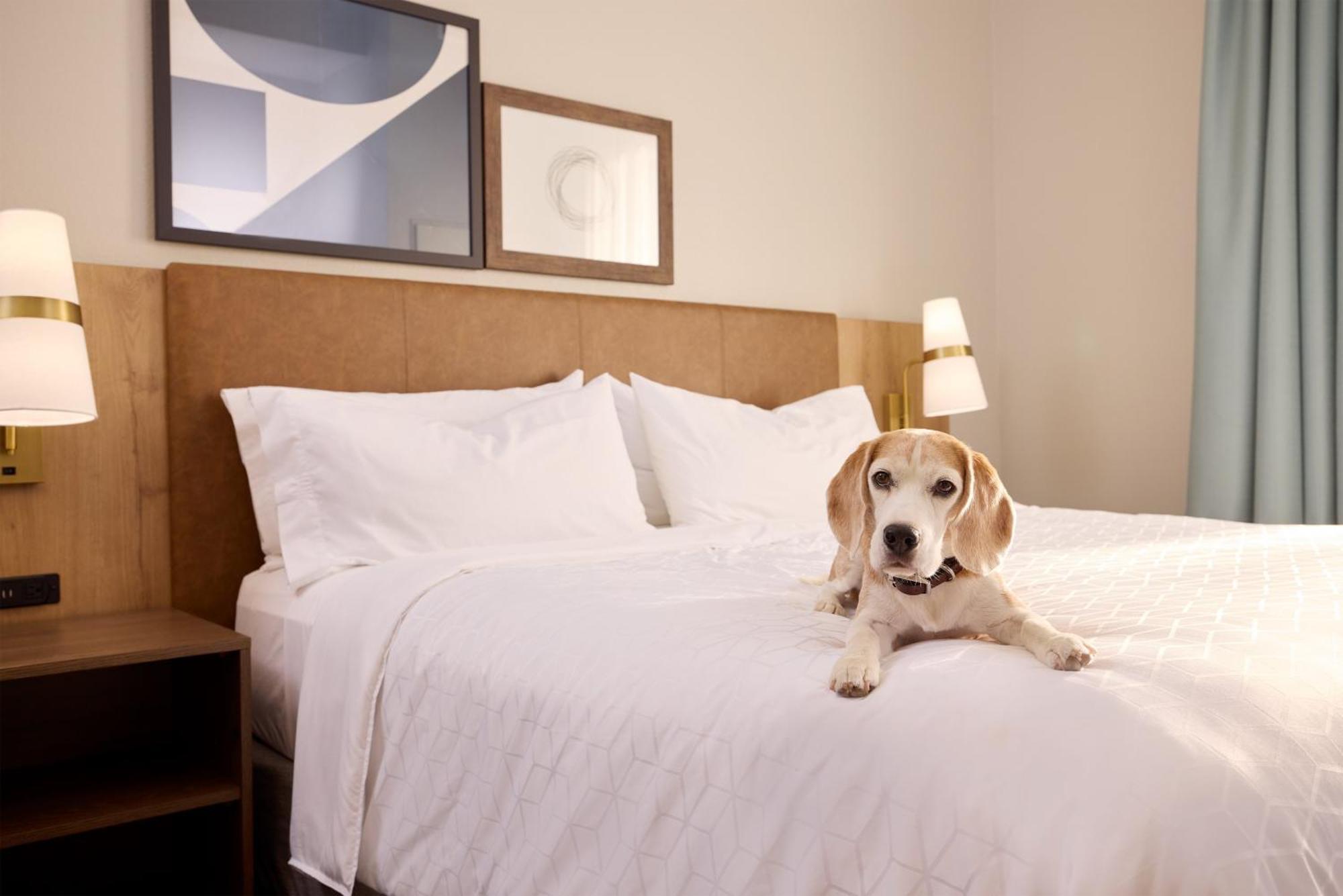 Staybridge Suites Tucson Airport By Ihg Bagian luar foto